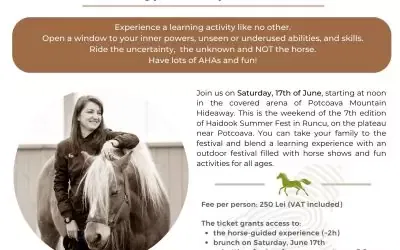 Horse-guided leadership development over brunch