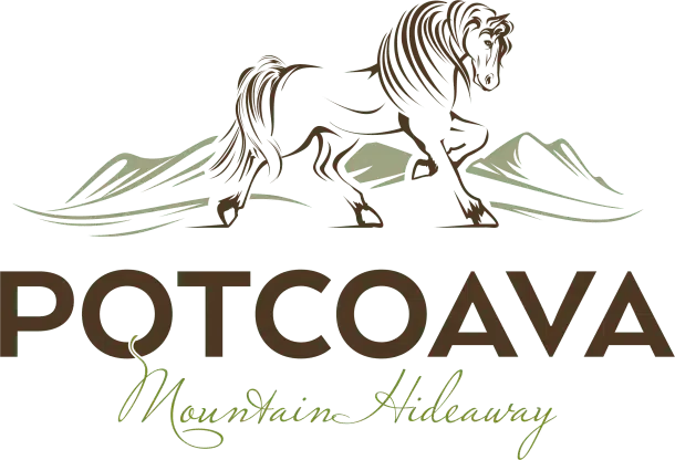 Potcoava_main-no background - Potcoava