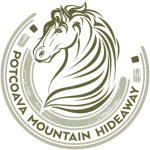 logo patrat Potcoava, imagine cal in potcoava