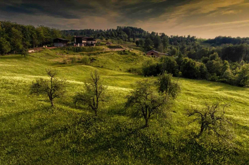 Potcoava Mountain Hideaway – experiențe autentice și cu sens la Târgul de Turism al României 2026