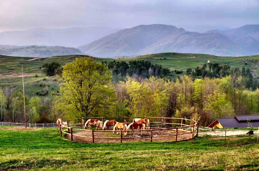 Primăvara bate cu potcoavele la ușă!