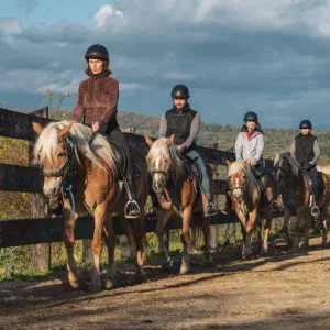 calareti in manejul descoperit pregatiti de drumetie