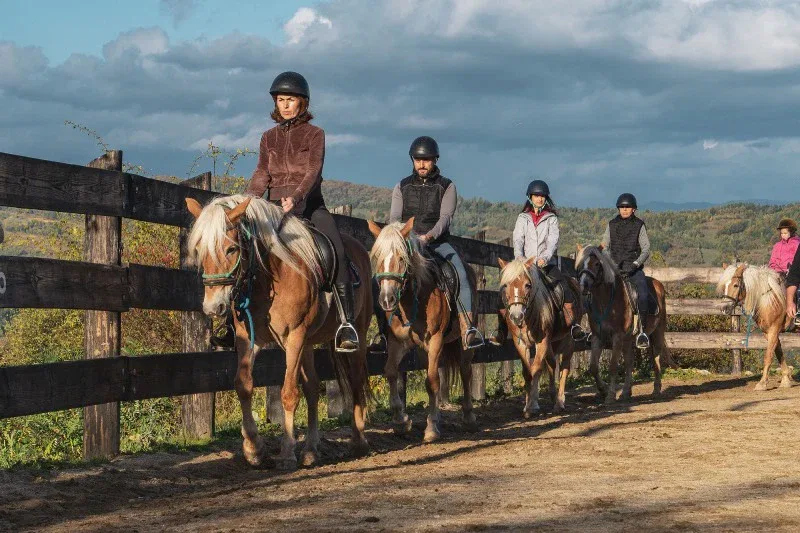 calareti in manejul descoperit pregatiti de drumetie