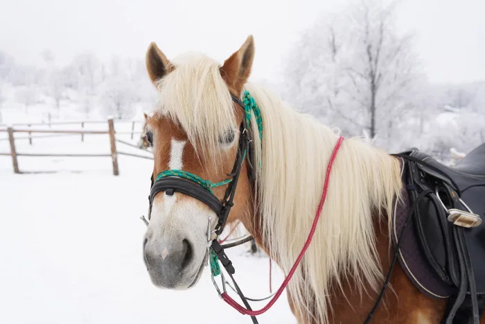 Reține acest cod promoțional pentru un sejur și mai relaxant