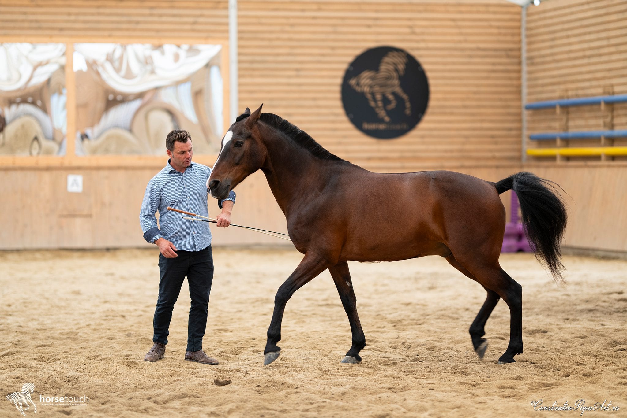 Potcoava - destinatie de vacanta ecoturistica, experiente memorabile de vacanta
