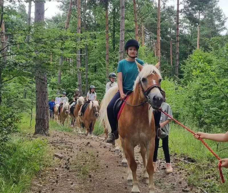 Noutățile verii – disponibilități, evenimente speciale