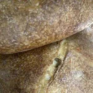 Potcoava - destinatie de vacanta ecoturistica, experiente memorabile de relaxare