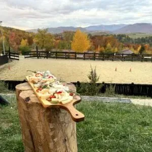 platou brânză - Potcoava Potcoava - destinatie de vacanta ecoturistica, experiente memorabile de relaxare