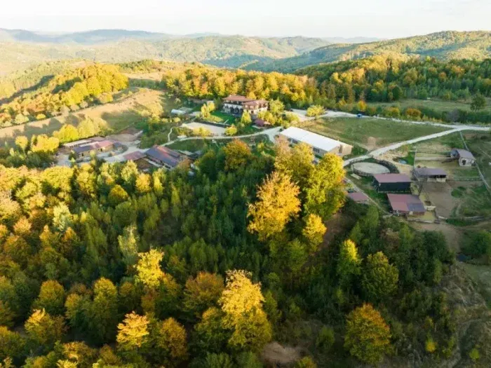 10 ani de Potcoava Mountain Hideaway: O poveste scrisă împreună