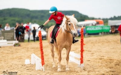 Saddle up! Haidook Summer Fest dă startul verii!