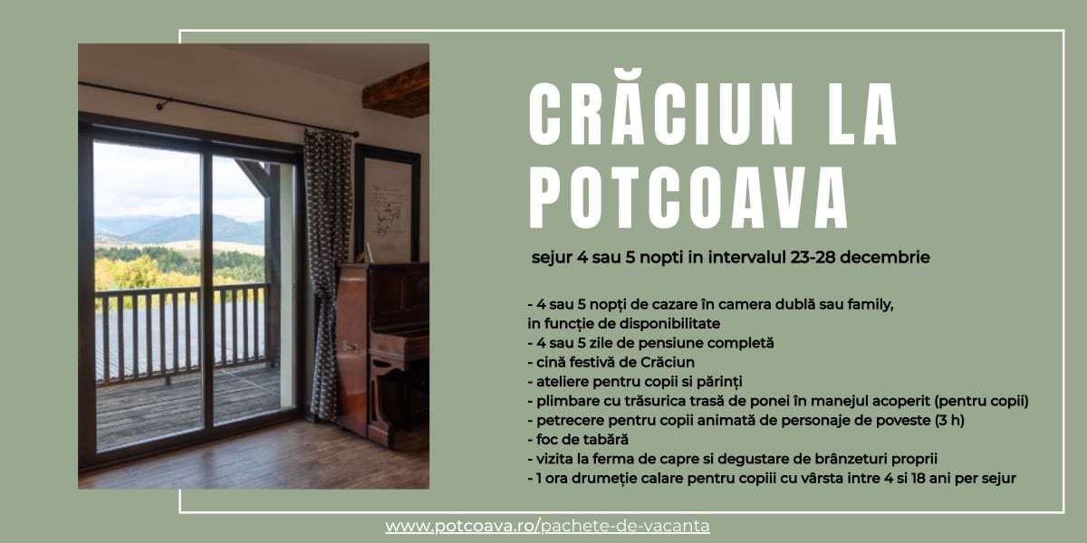 Xmas 2025 oferta Craciun 2025