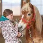 HorseTouch ParinteAdolescent 257 - Potcoava