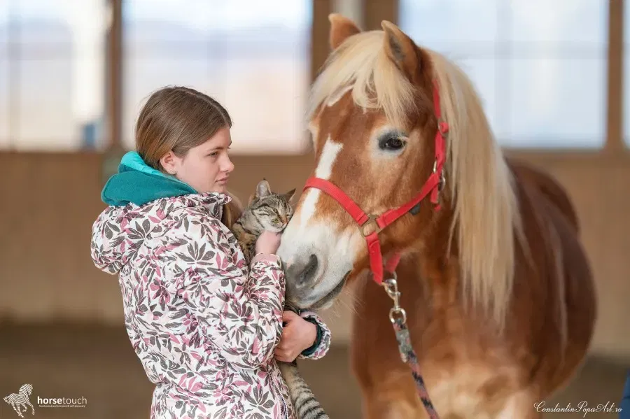 Școala Altfel la fermă: experiențe de învățare în natură