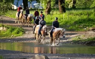 Ture călare avansați în munții Leaota