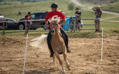 Haidook Summer Fest revine în 16-18 iunie cu o nouă ediție