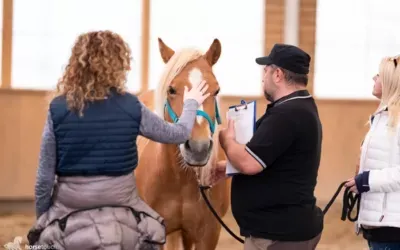 (Re)boot camp – Tabară de viziune și (self)leadership