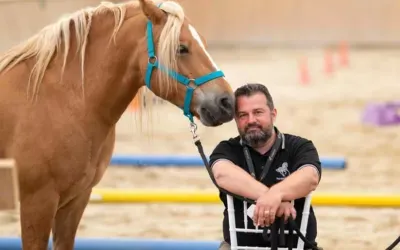 Steward și omul lui :) – poveste de la Potcoava