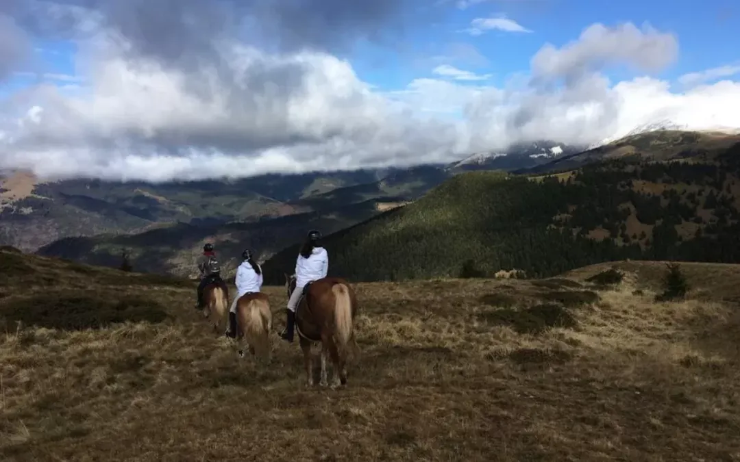 Weekend ture călare în Leaota – 27-29 octombrie