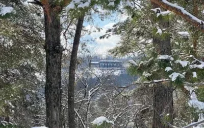 Am lansat pachetele pentru Sărbătorile de Iarnă!
