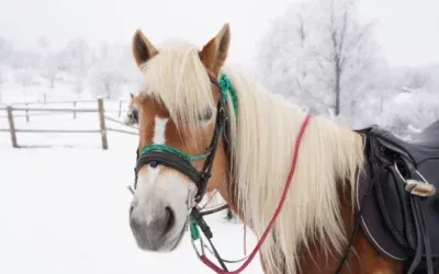 Reține acest cod promoțional pentru un sejur și mai relaxant