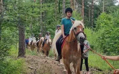 Noutățile verii – disponibilități, evenimente speciale