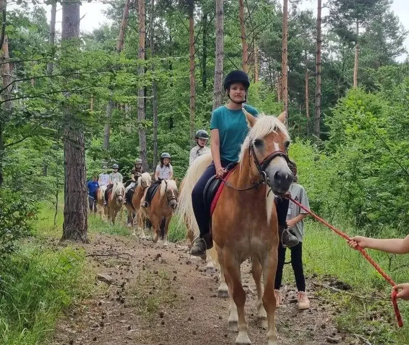 Noutățile verii – disponibilități, evenimente speciale