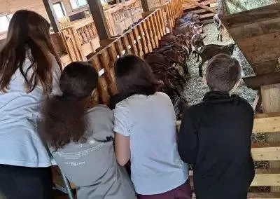 Potcoava - destinatie de vacanta ecoturistica, experiente memorabile de tabara