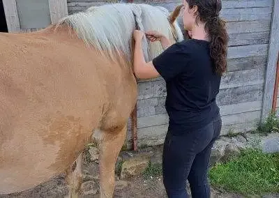 Potcoava - destinatie de vacanta ecoturistica, experiente memorabile de tabara