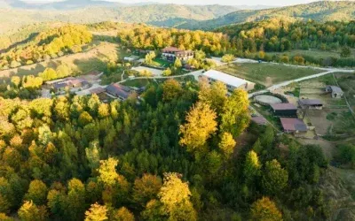 10 ani de Potcoava Mountain Hideaway: O poveste scrisă împreună