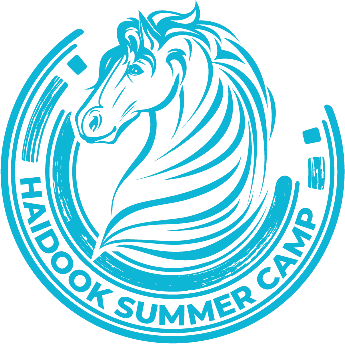 Logo Haidook Summer Camp_albastru